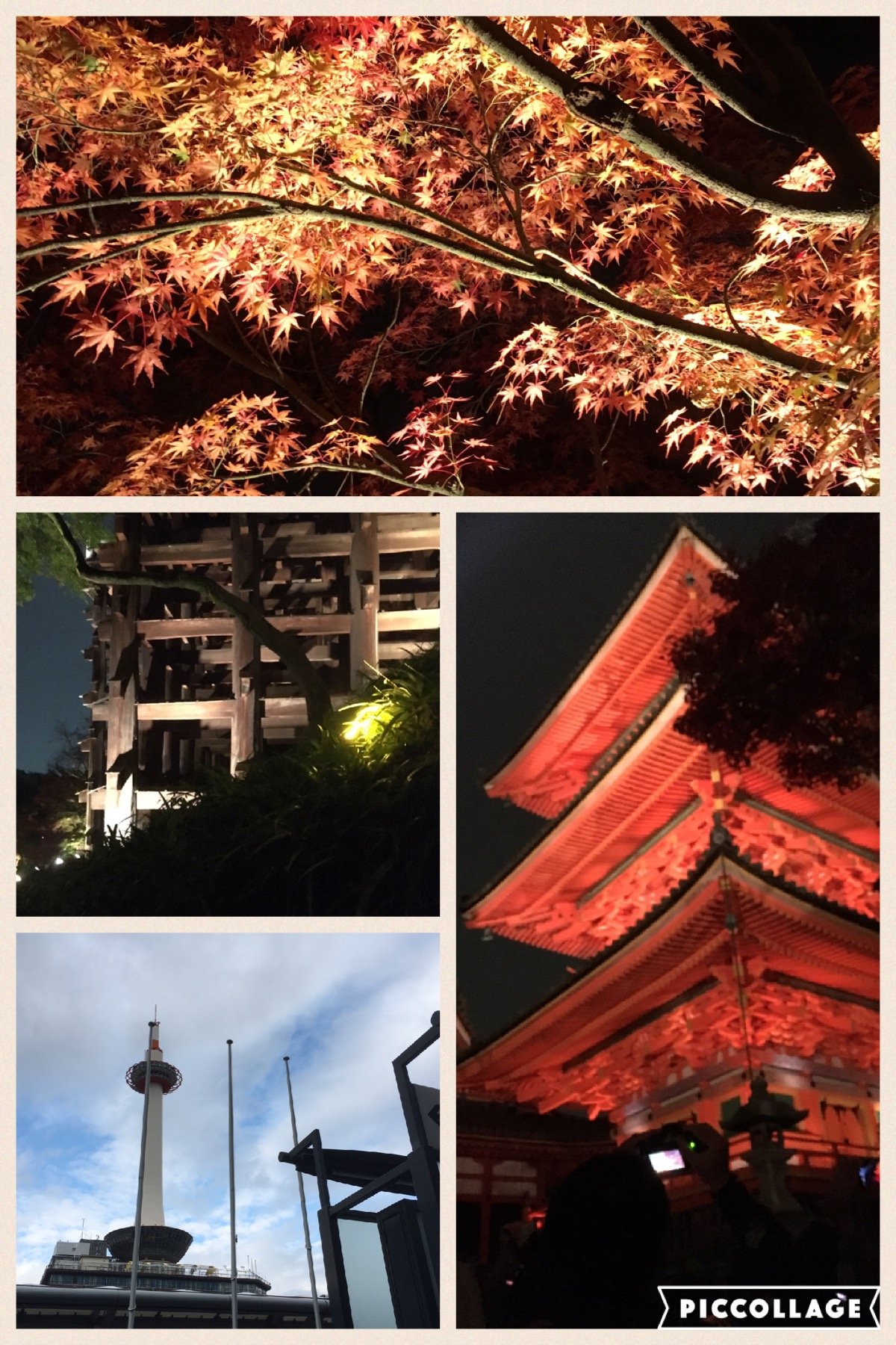 秋の京都の旅〜♪