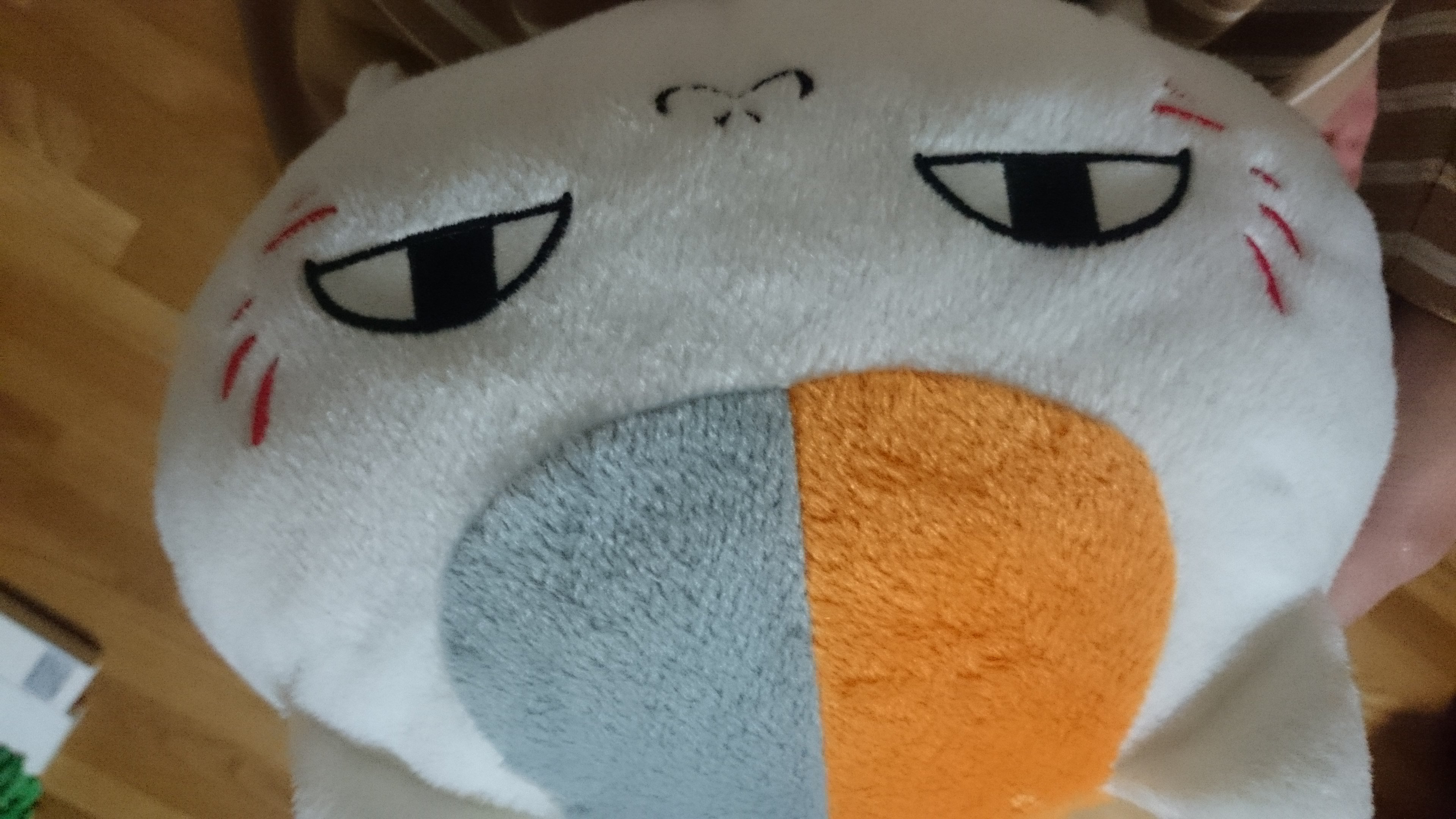 にゃんこ先生の