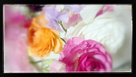 依梨亜ちゃんの2017/4/10 (月) 23:59のブログ