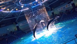 なーなみちゃんの2016/3/18 (金) 12:28のブログ