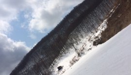 なーなみちゃんの2016/3/27 (日) 21:05のブログ