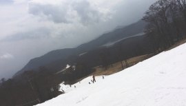 なーなみちゃんの2016/4/25 (月) 00:30のブログ