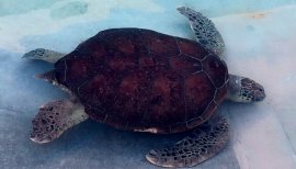 なーなみちゃんの2016/4/21 (木) 10:51のブログ