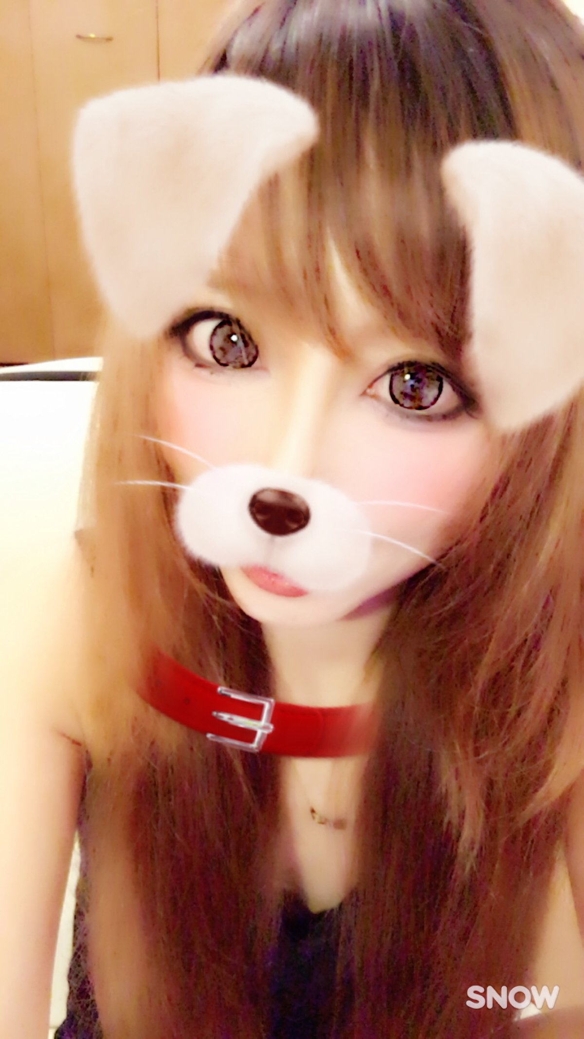 またまたこのやつ