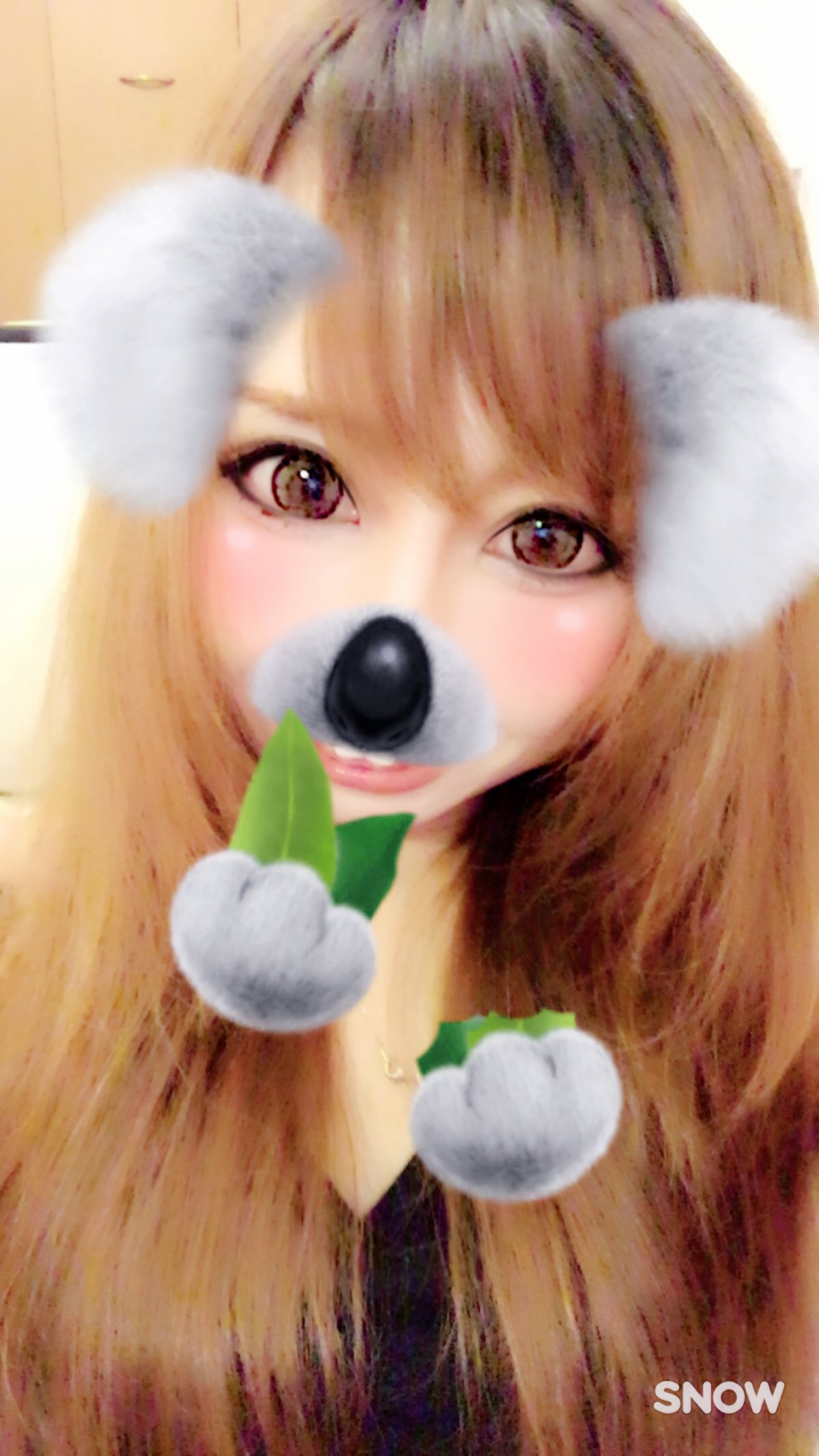 癒されたぁーいのだ。