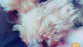 なゆちゃんの2016/3/17 (木) 13:34のブログ