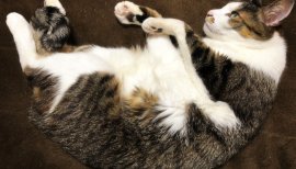 ゆうなンちゃんの2018/3/30 (金) 16:55のブログ