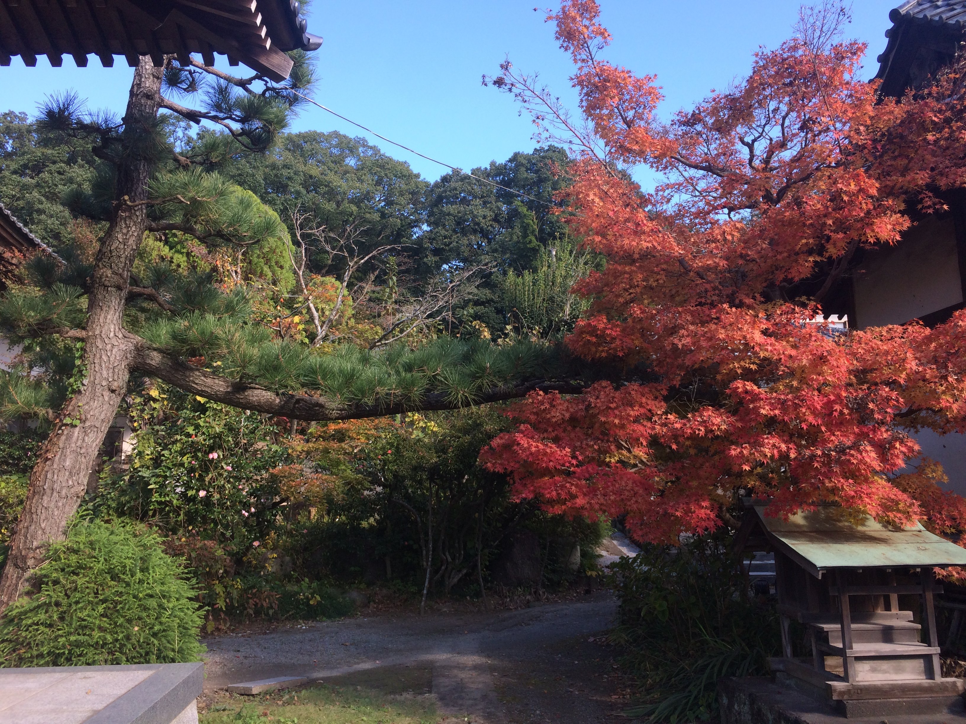 おっはようございます！