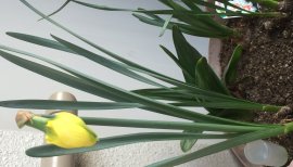 杏蜜ちゃんの2016/3/30 (水) 16:37のブログ