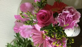 杏蜜ちゃんの2016/4/9 (土) 19:38のブログ