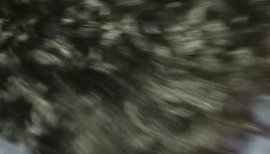 杏蜜ちゃんの2016/7/2 (土) 12:23のブログ