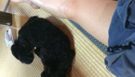 杏蜜ちゃんの2016/7/2 (土) 12:29のブログ