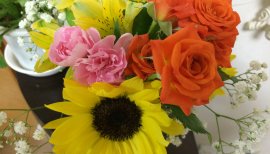 杏蜜ちゃんの2016/7/11 (月) 09:12のブログ