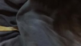 杏蜜ちゃんの2016/7/2 (土) 12:17のブログ