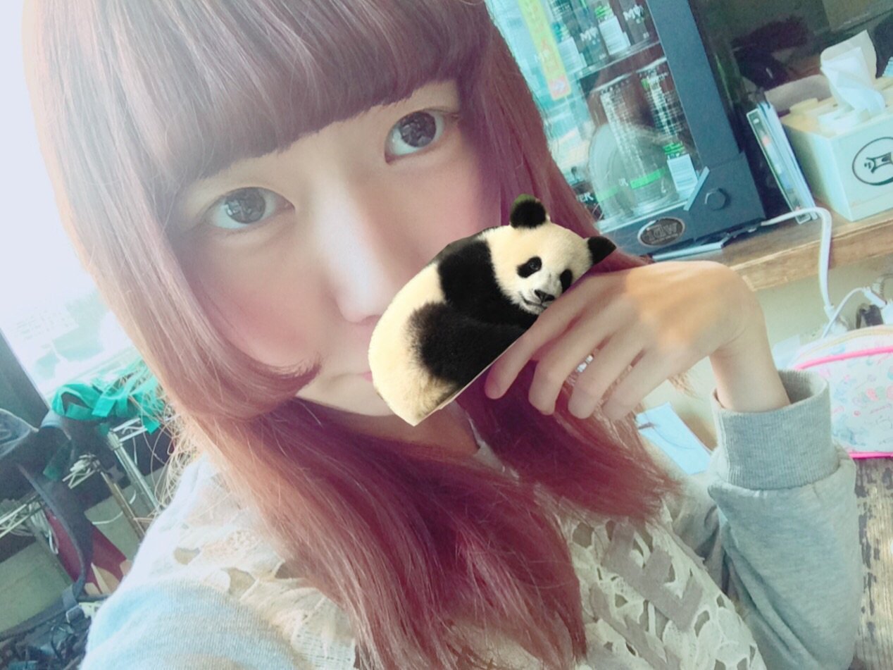 おはパンダ(●´ω`●)
