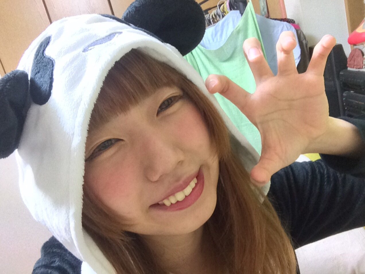 こんにちわん！