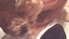 こたにちゃんの2016/5/9 (月) 06:48のブログ