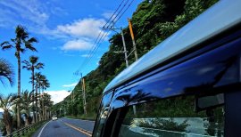 あいりんこちゃんの2016/5/12 (木) 14:29のブログ