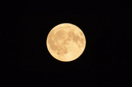 久しぶりのチャット楽しかったー！