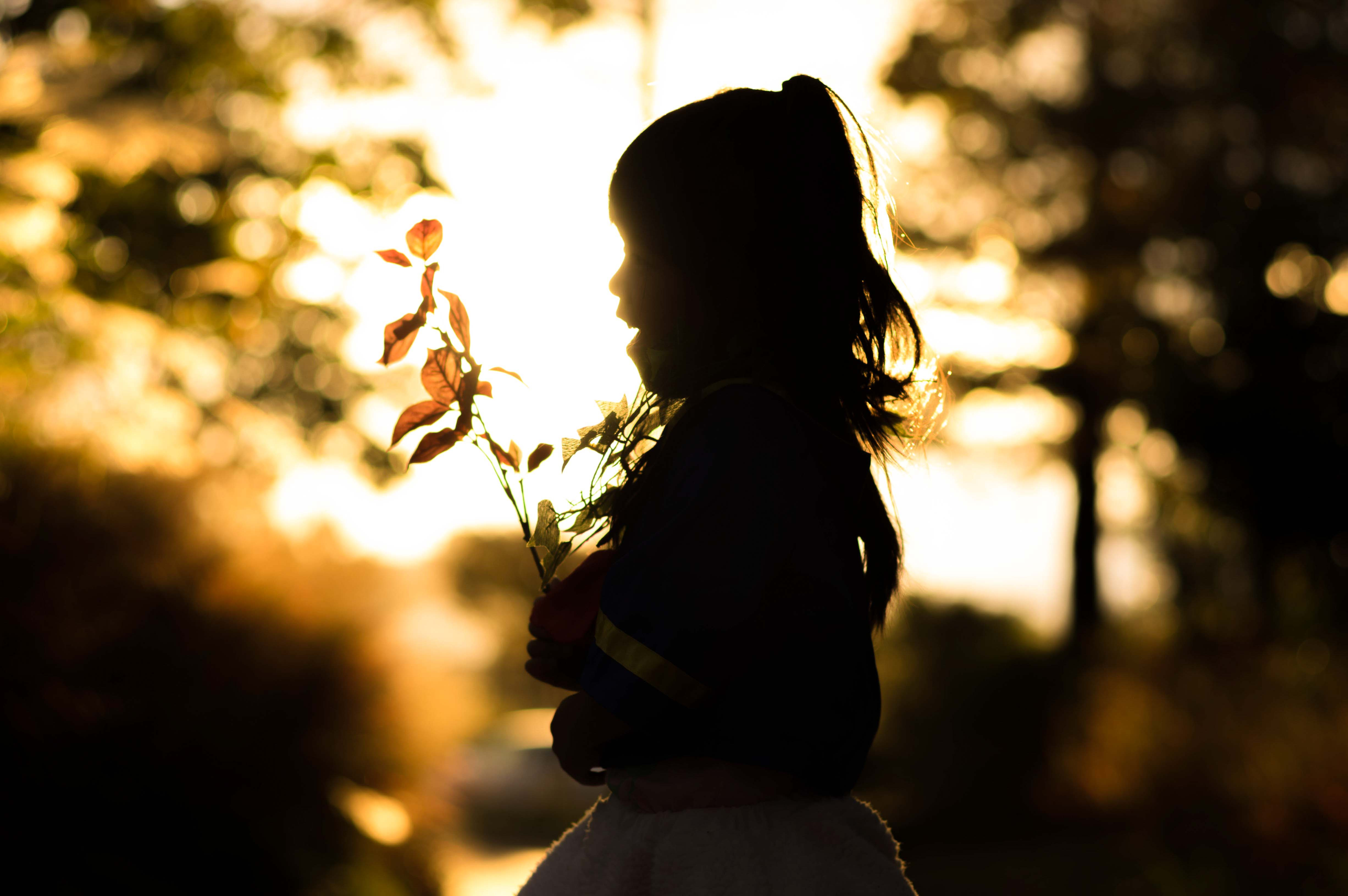 自分の非を認めること