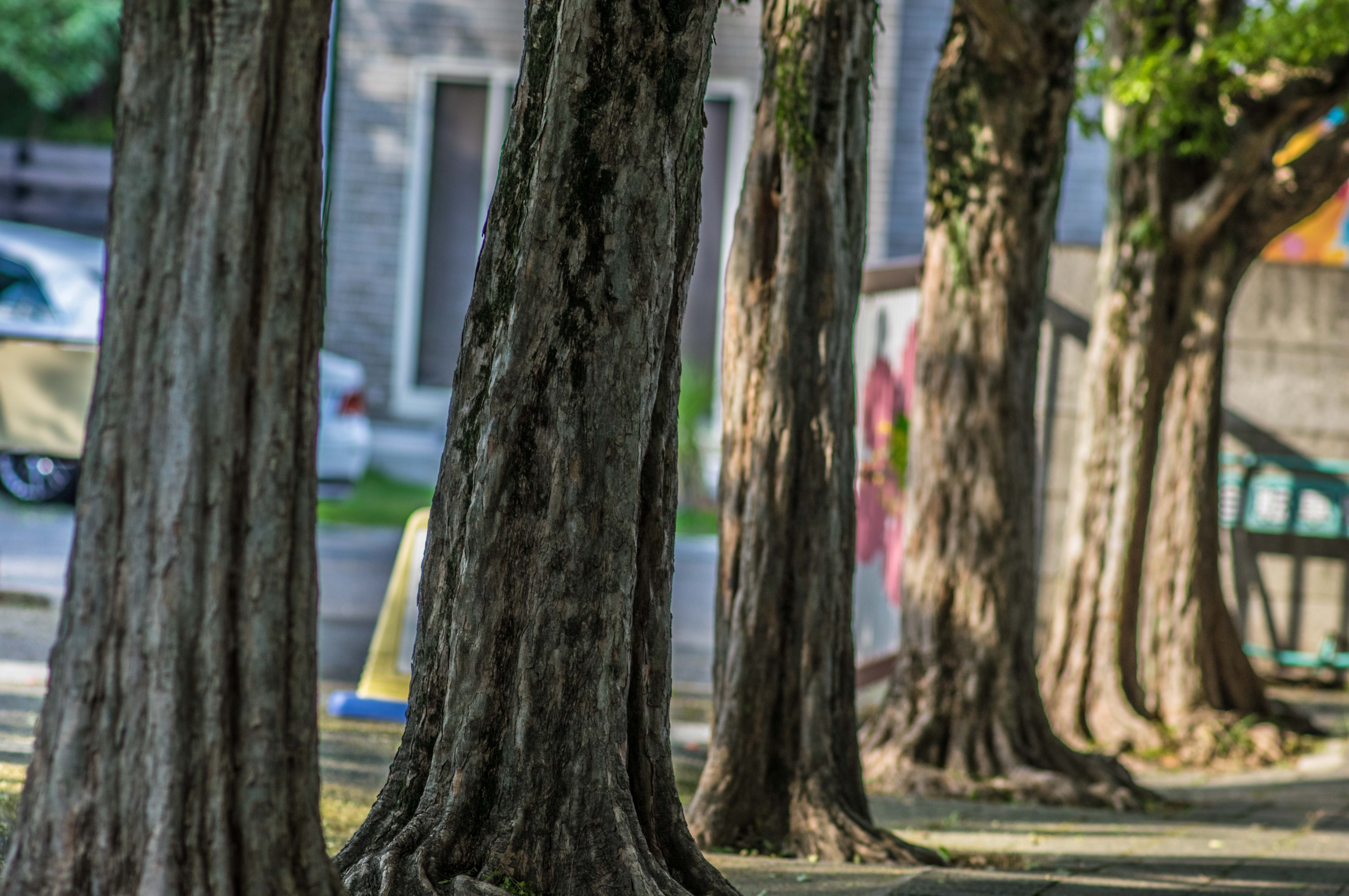 焦って何かを成し遂げようとする自分へ。