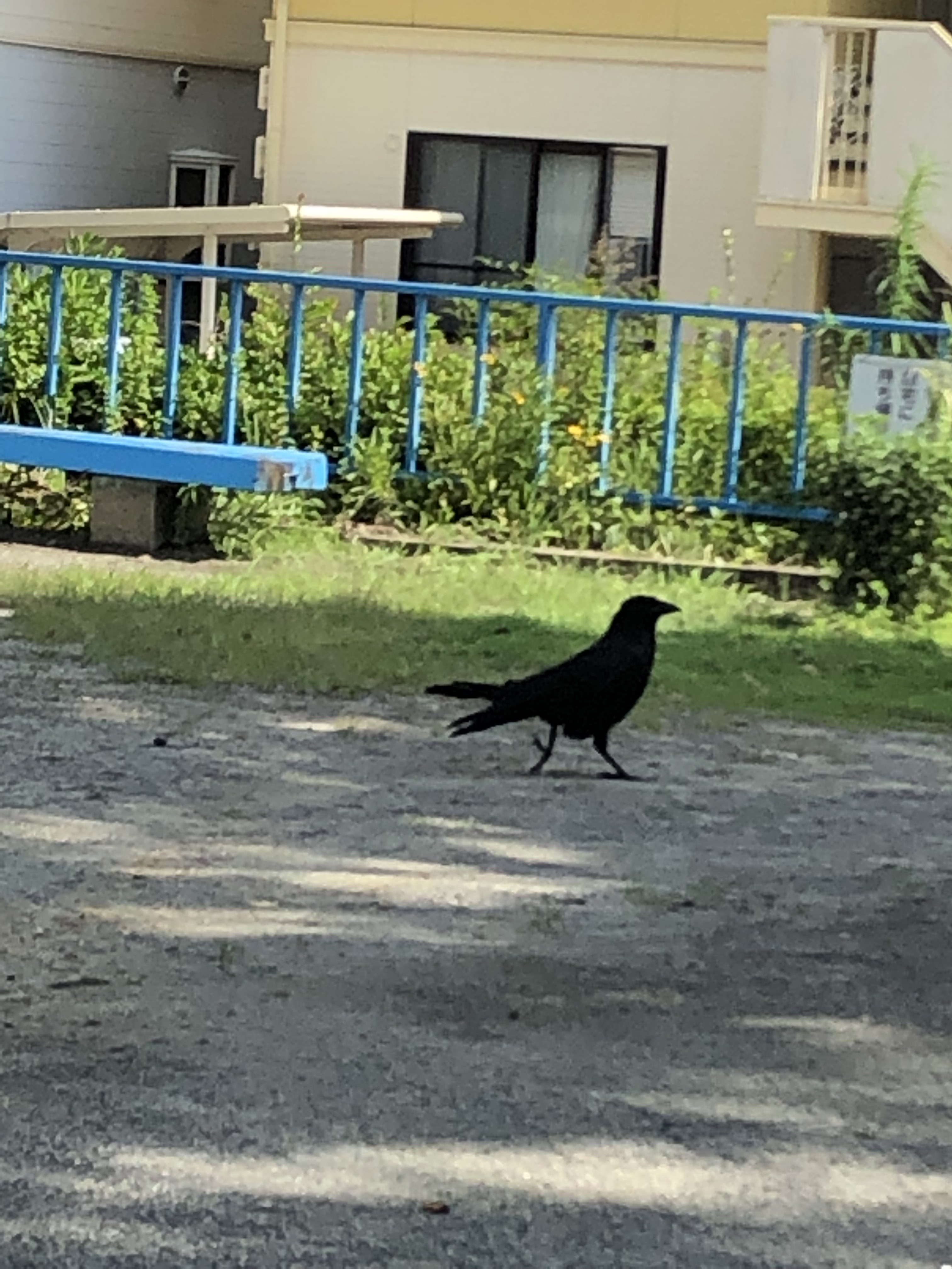 毎日思ったこと、取り組んだこと。