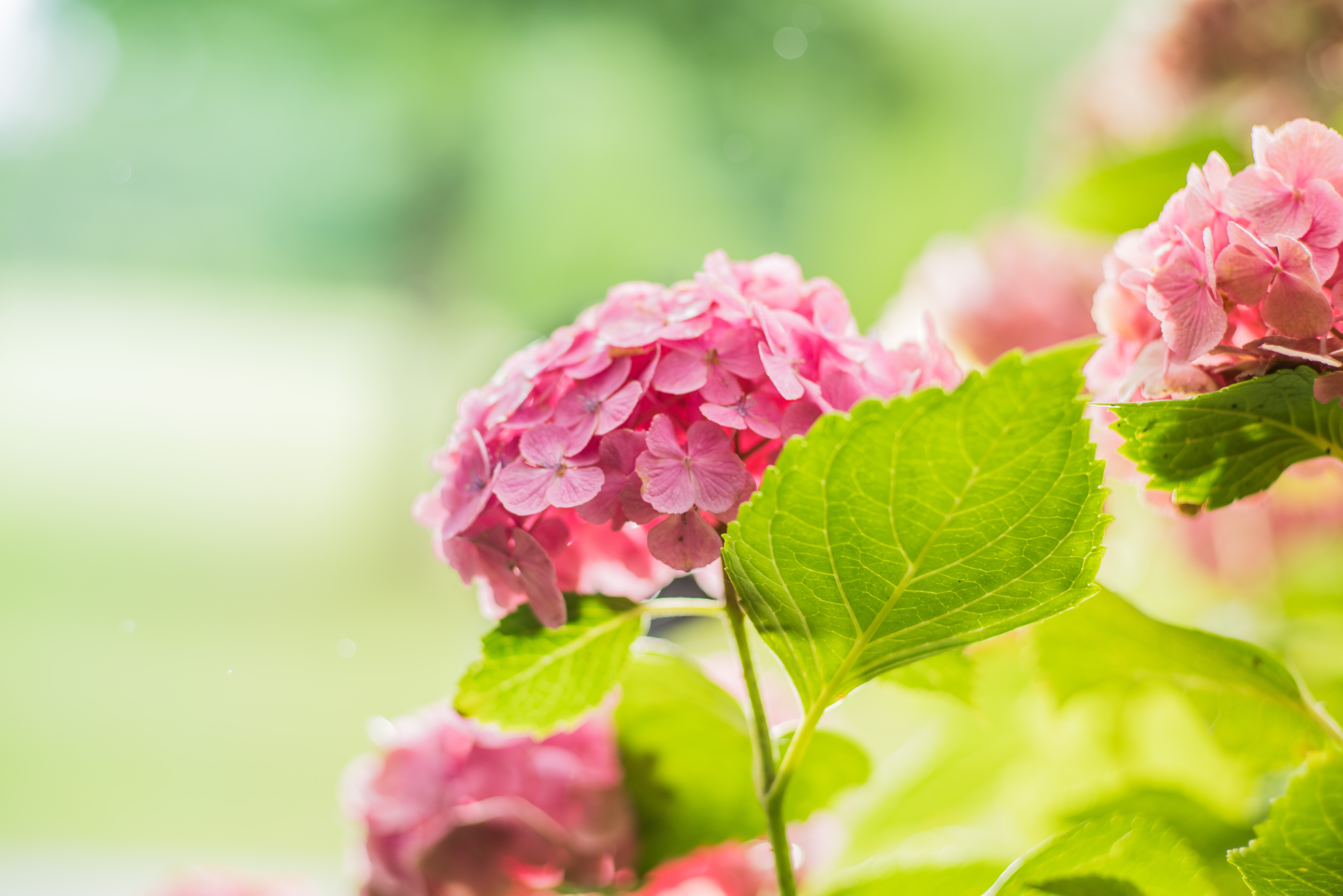 不甲斐なさに泣く心境の休日