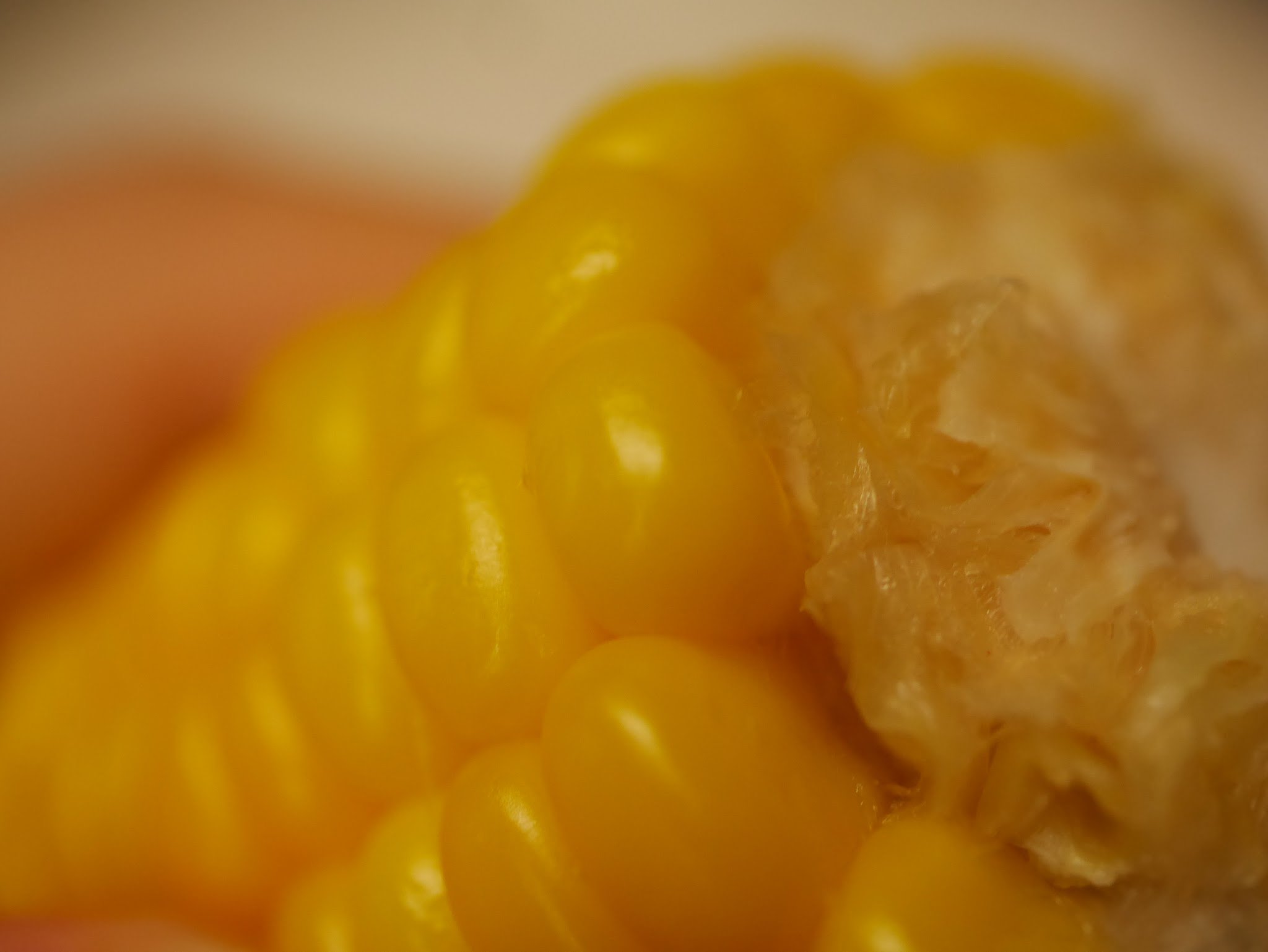 日常の些細な一コマ