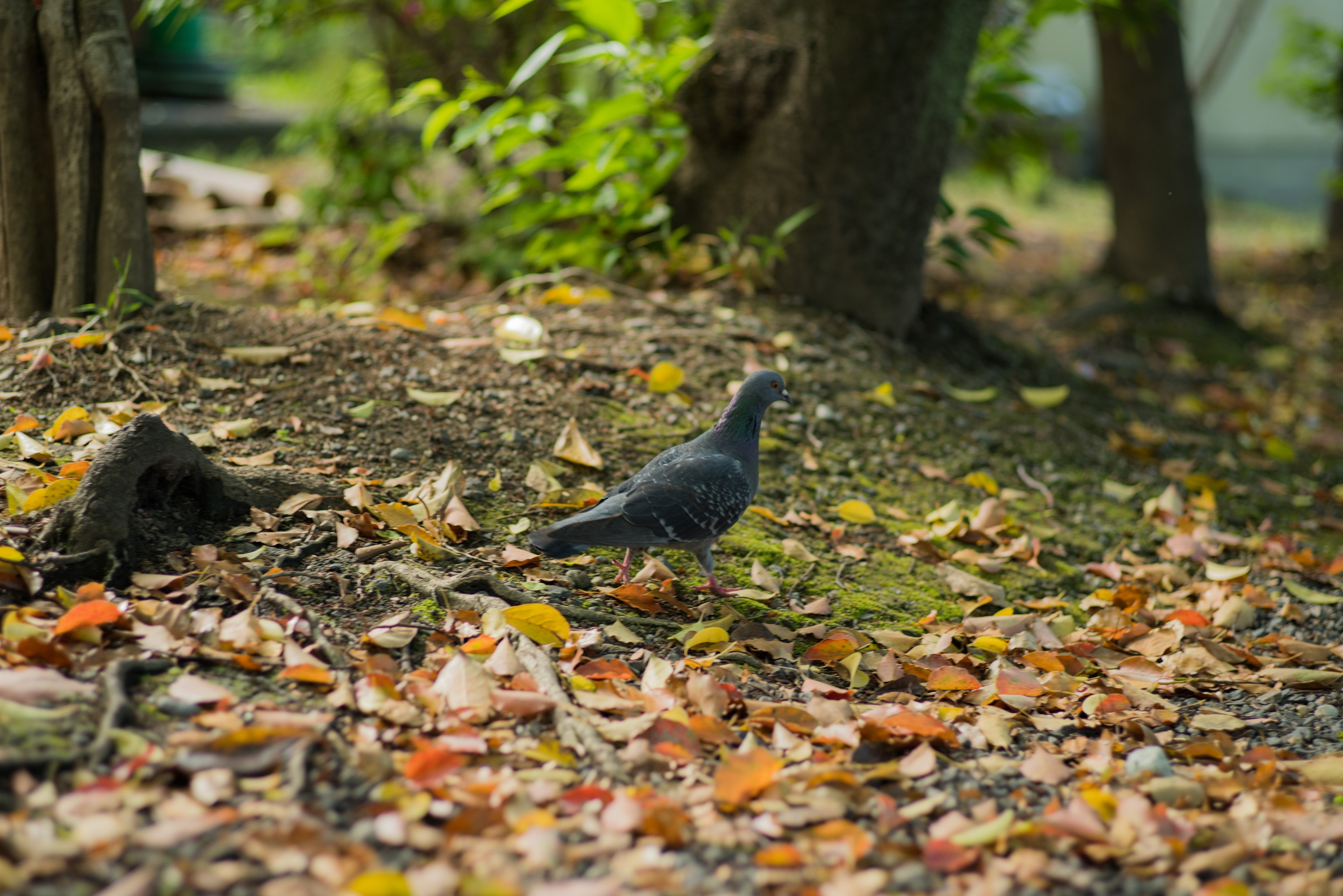いつでも何でも手に入る世界