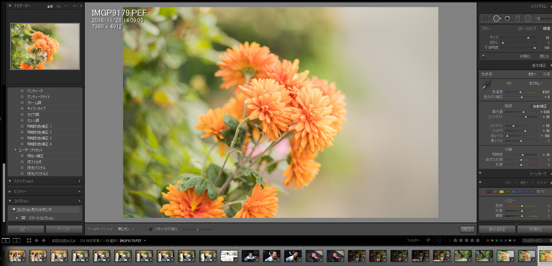 11月最後の出張撮影・七五三
