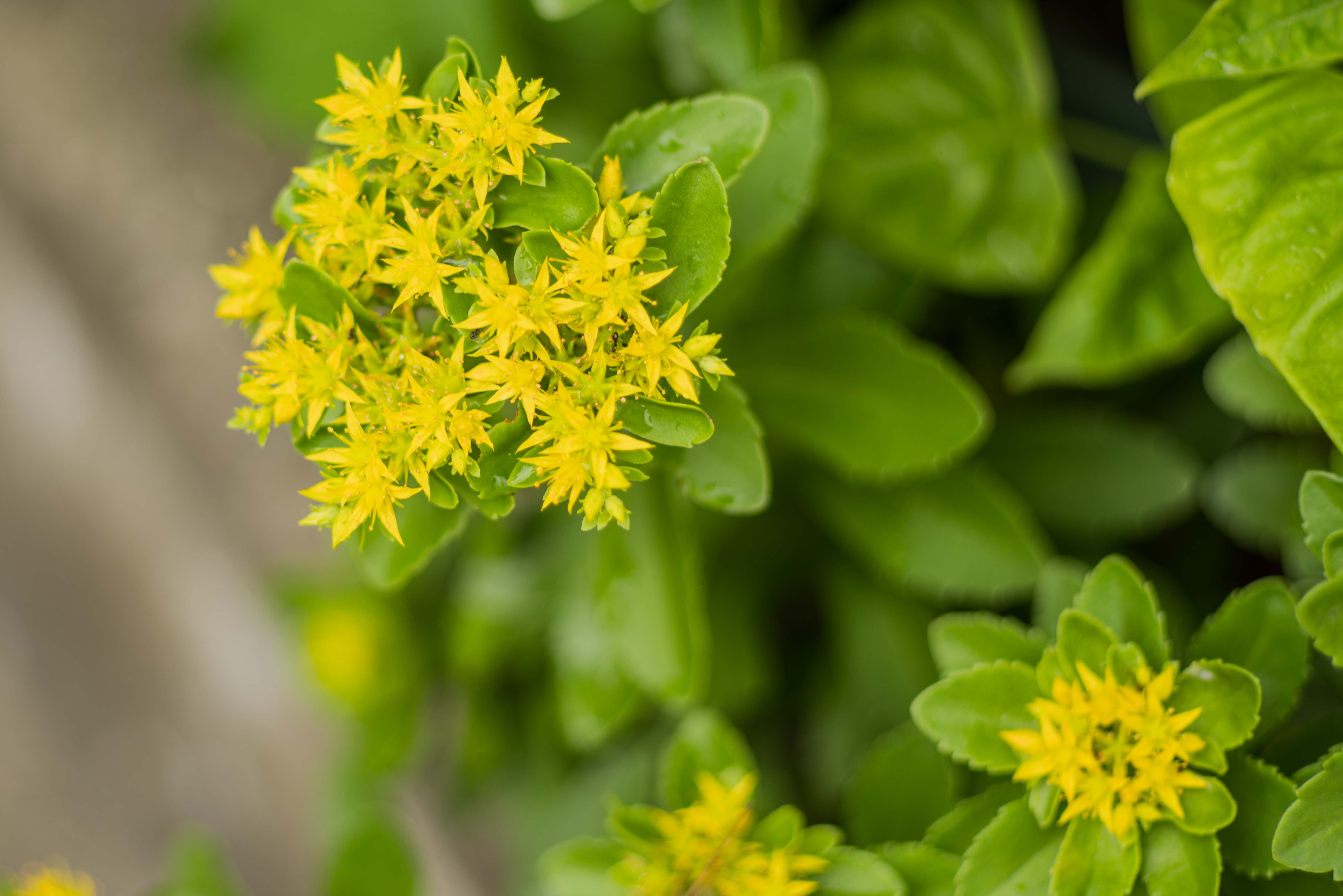 出来事は全て「必然」