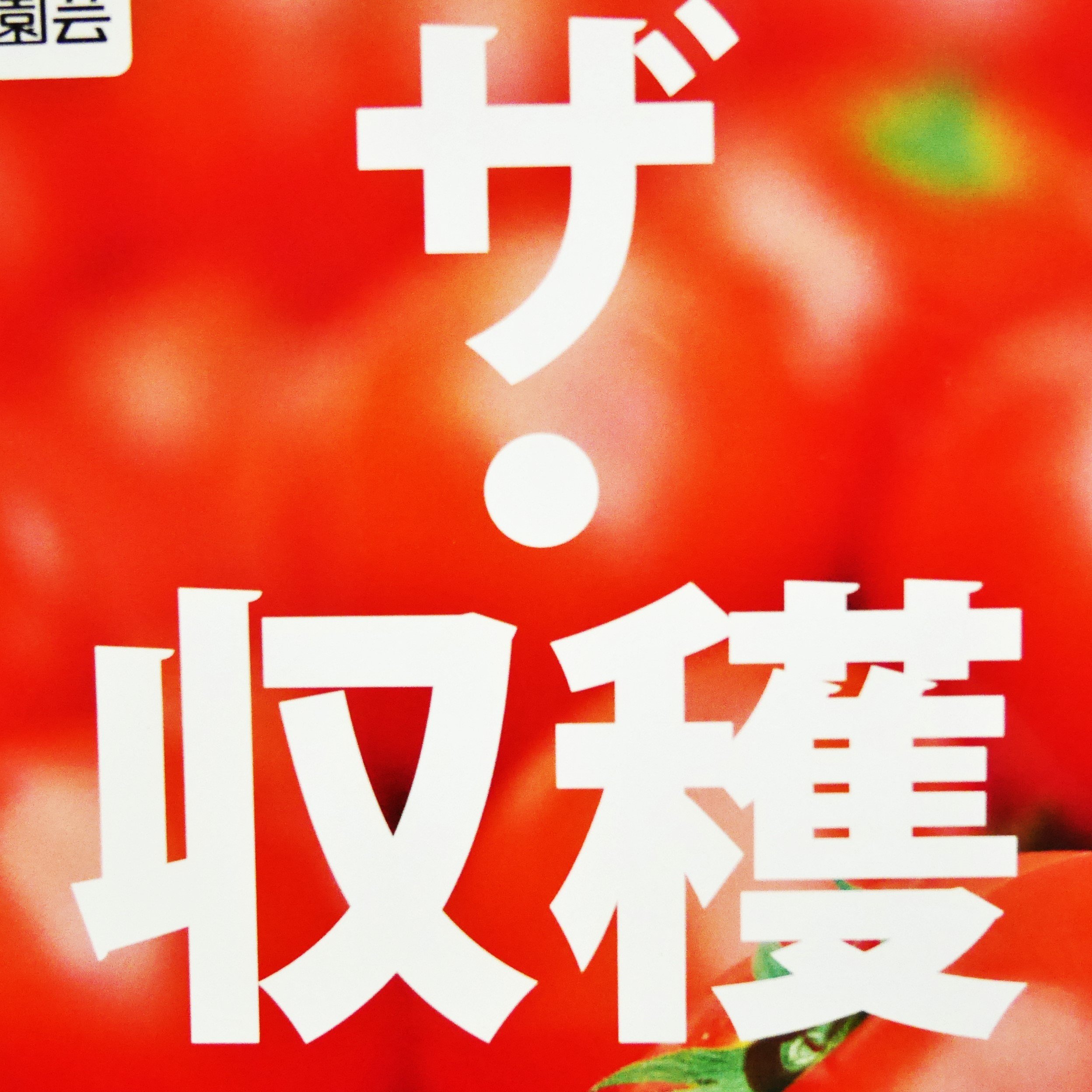 雨でも一歩外へ出てみる