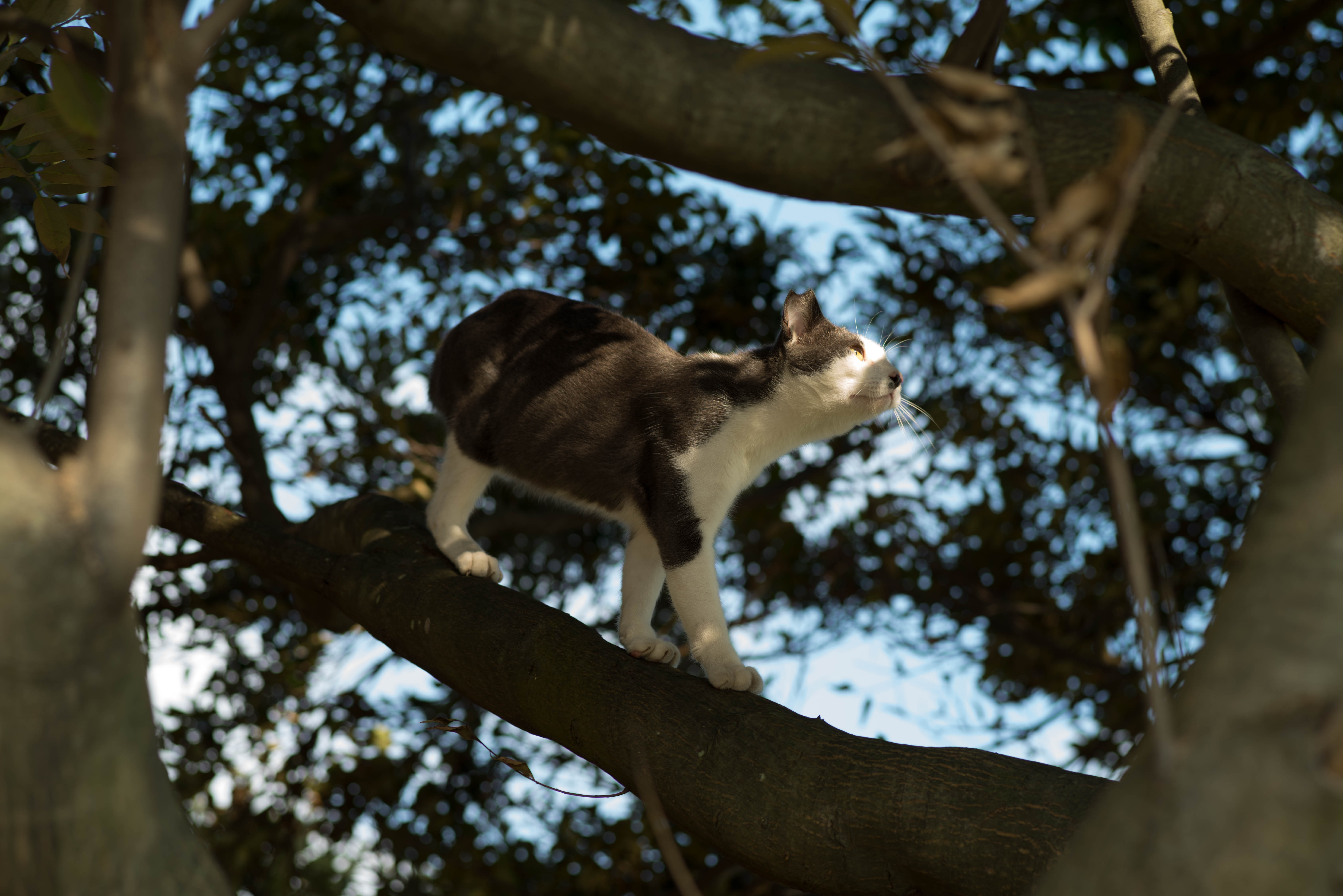 戻りたくなる時間はありますか。