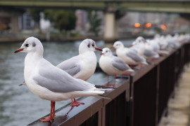 Namuちゃんの2019/4/19 (金) 23:07のブログ