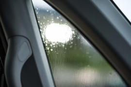 同じ姿勢で同じ物事を考える