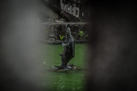 Namuちゃんの2019/9/22 (日) 06:43のブログ