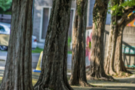 Namuちゃんの2018/10/24 (水) 13:26のブログ