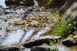 Namuちゃんの2018/11/1 (木) 09:24のブログ