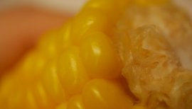 日常の些細な一コマ