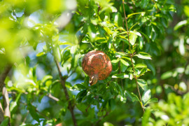 Namuちゃんの2019/1/2 (水) 09:18のブログ