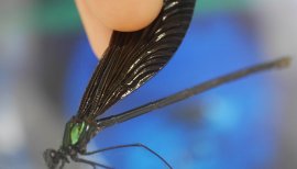 ちょいと寄り道