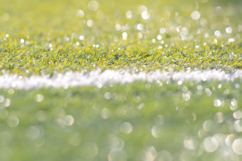 Namuちゃんの2018/7/8 (日) 08:25のブログ