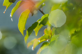 Namuちゃんの2019/1/1 (火) 09:05のブログ