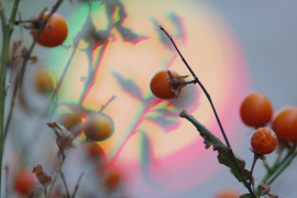 Namuちゃんの2019/4/27 (土) 08:47のブログ