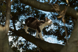 Namuちゃんの2019/1/24 (木) 00:15のブログ