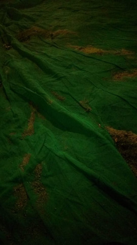 Namuちゃんの2019/3/23 (土) 23:38のブログ