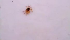 ちゃんまちゃんの2016/5/30 (月) 14:50のブログ