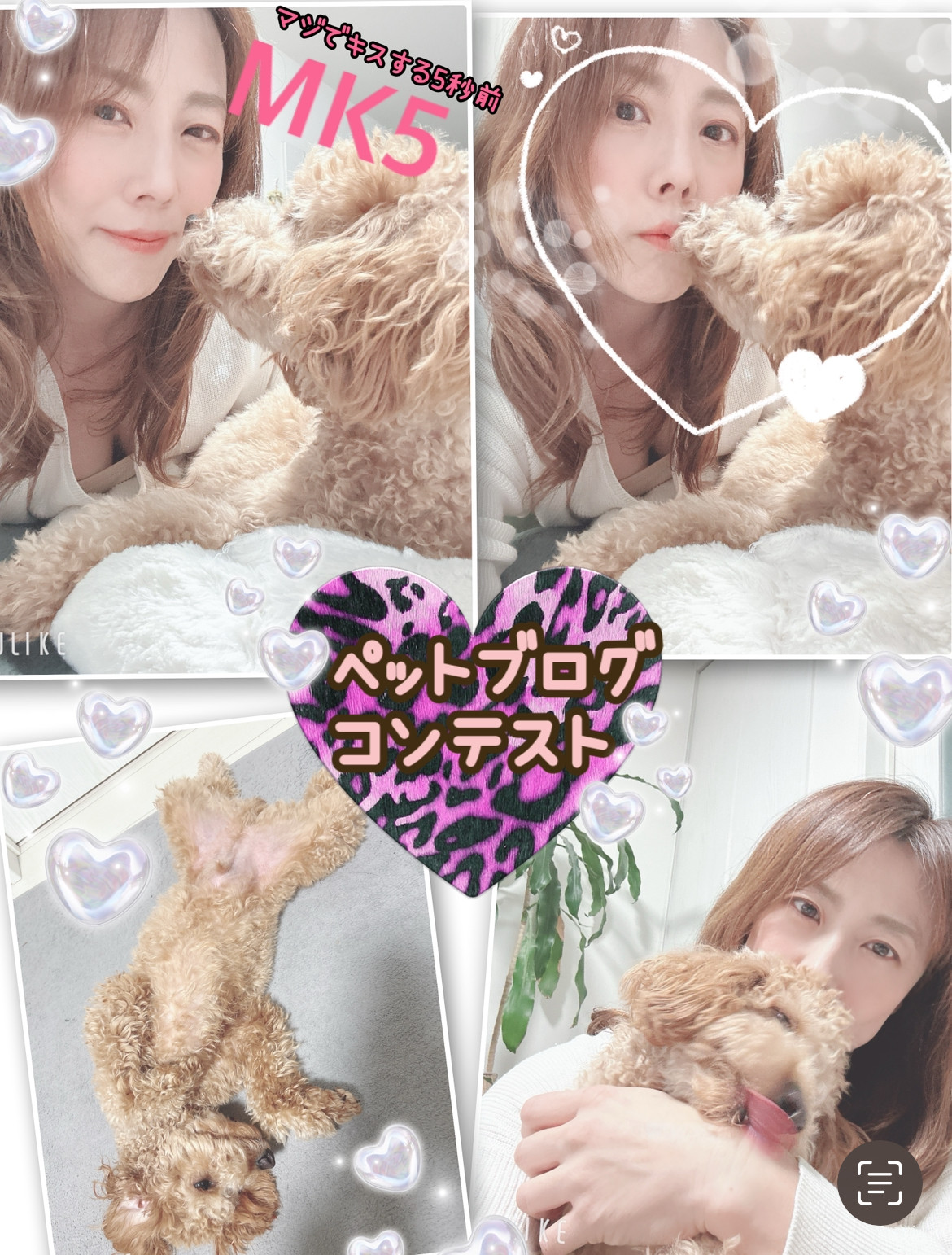 【ペットブログコンテスト】