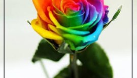 ♡ゆい♡ちゃんの2016/6/17 (金) 20:45のブログ