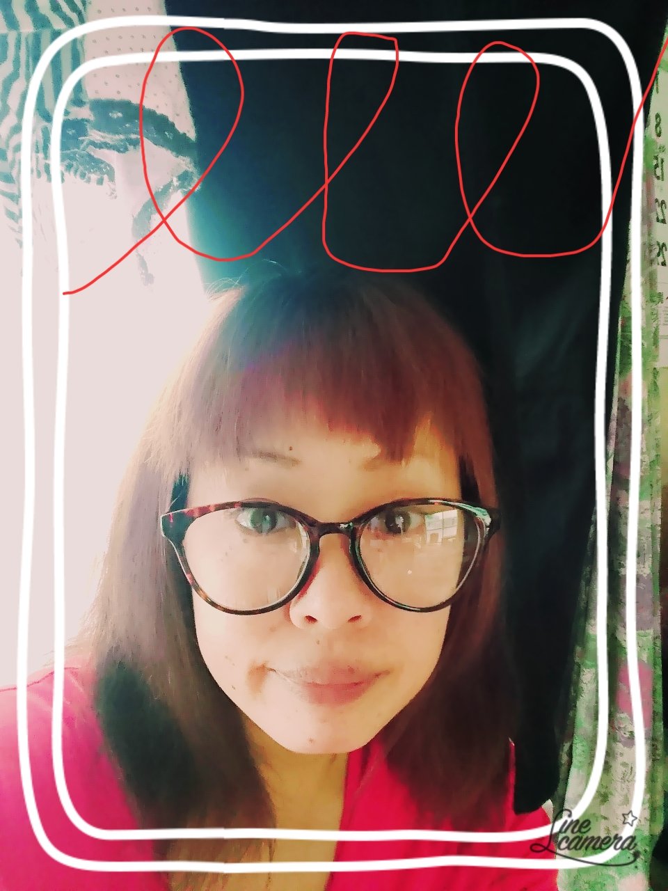 写真とってみた❗